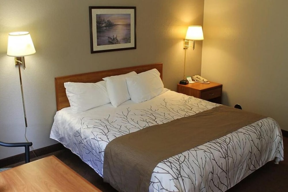 Edmore Inn — Edmore — photo 4
