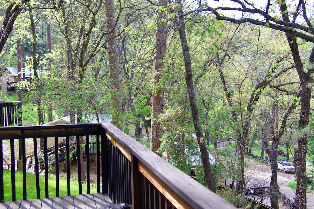 Yosemite Bug Rustic Mountain Resort - photo 17