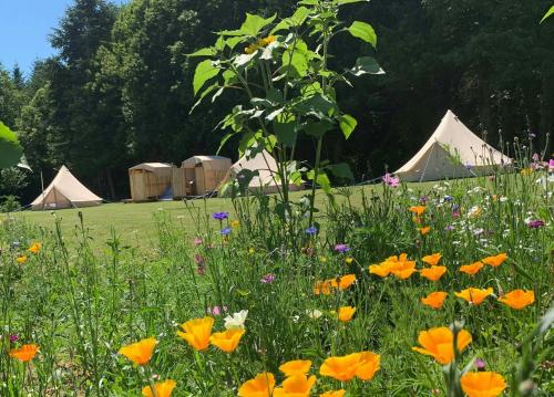Au Pré Fleuri Eco Glamping - last minute hotel in Unknown City