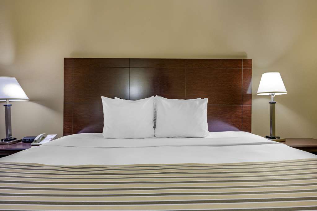 Econo Lodge Inn & Suites Triadelphia Wheeling - photo 22