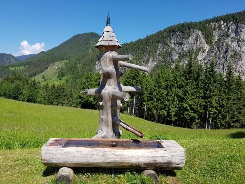 Alpengasthof Draxler — Forstau — photo 5