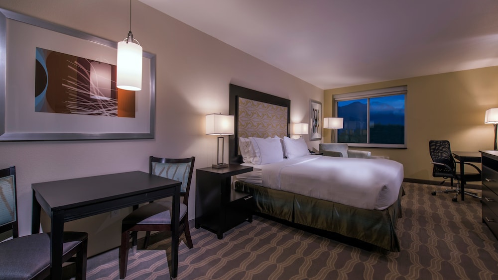 Holiday Inn Express & Suites Colorado Springs Central by IHG - photo 93