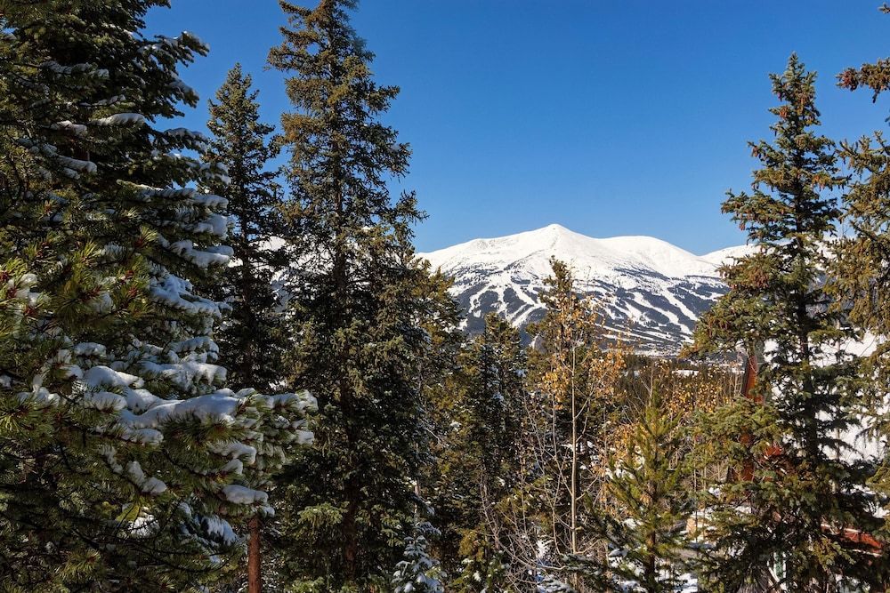 Grande Vista Boreas Pass by Pinnacle Lodging - photo 3