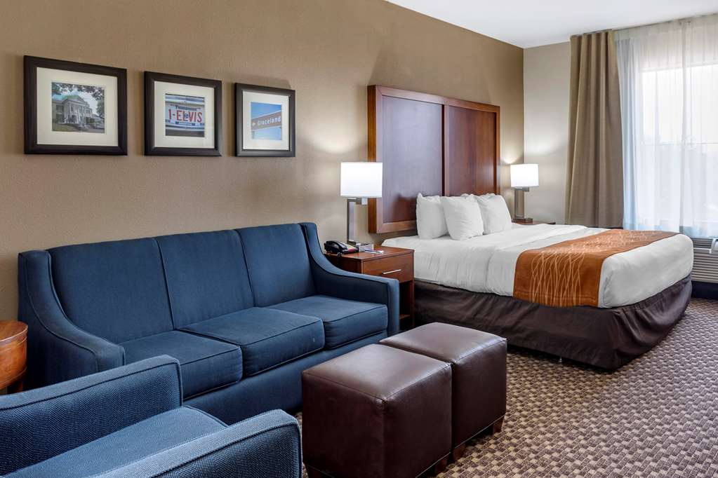 Comfort Inn & Suites Atoka Millington - photo 22