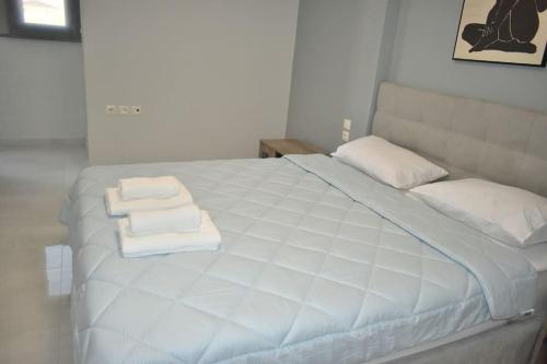 Modern Luxury Suite — Karditsa — photo 5