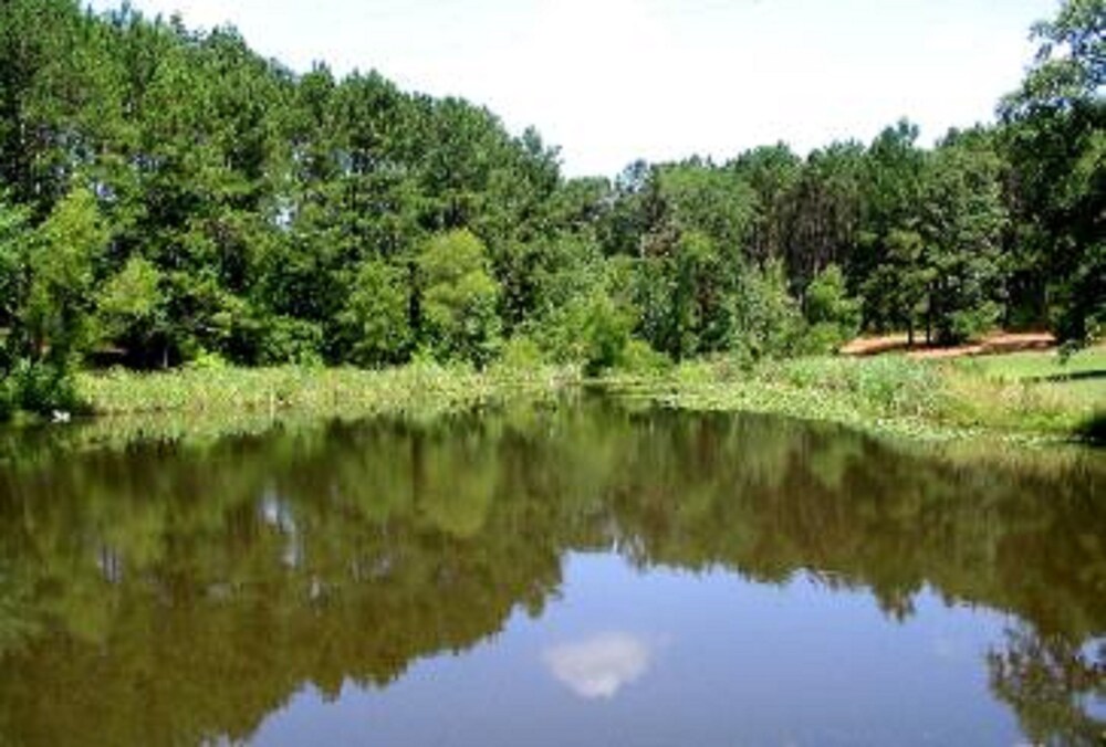 Pine Creek Country Inn - photo 19