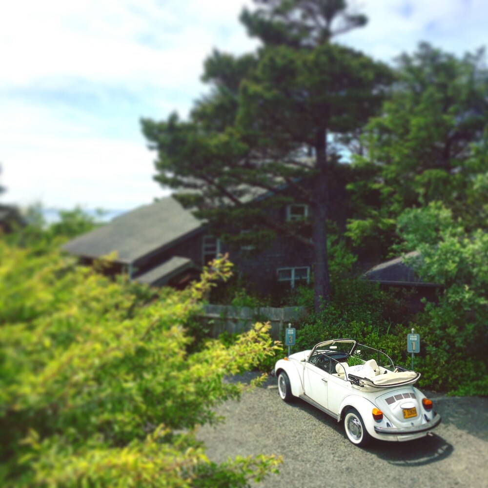 The Inn at Arch Cape - photo 83
