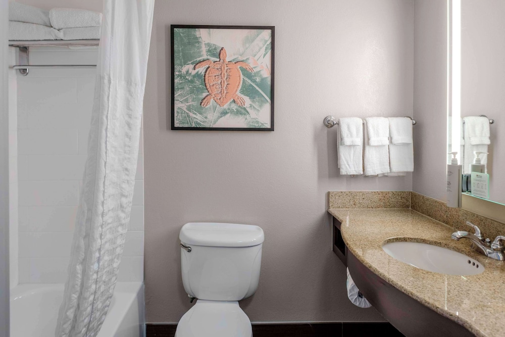 Hilton Garden Inn Sarasota Bradenton Airport - photo 9