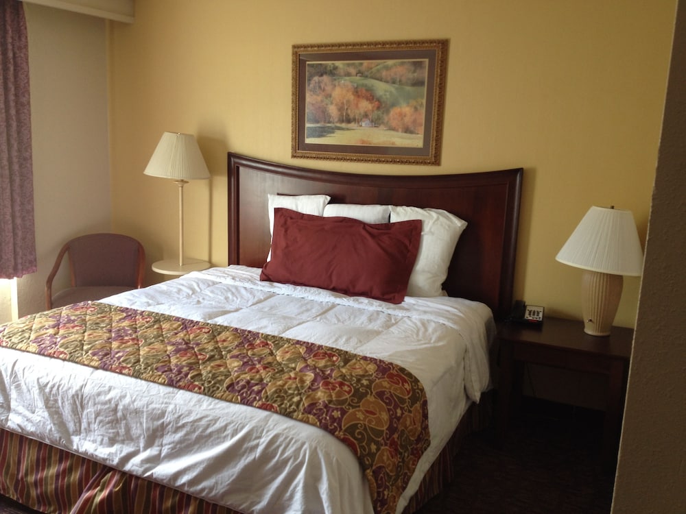 Lamplighter Inn & Suites South - photo 8