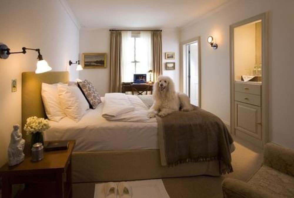 Hotel Fauchere - photo 19