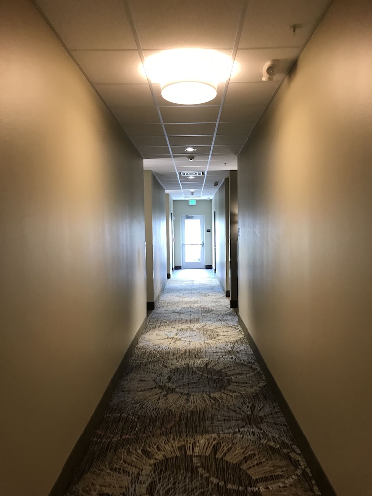 Staybridge Suites Madison Fitchburg - photo 89