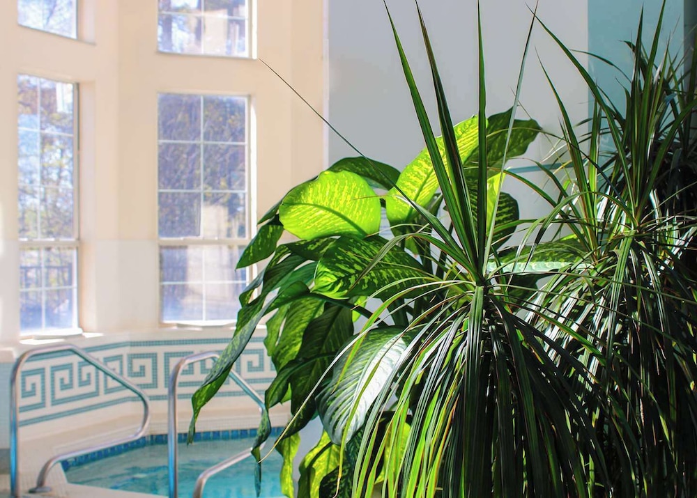Senator Inn & Spa - photo 103