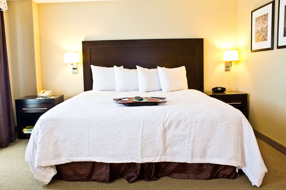 Hampton Inn & Suites Boston Crosstown Center - photo 18