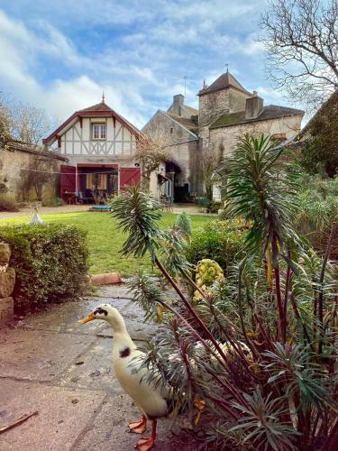 Au cœur de Fontaine - last minute hotel in Unknown City