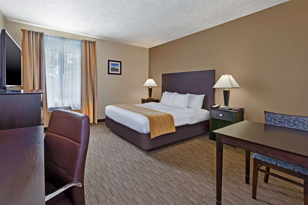 Comfort Inn Whitehall near Michigan's Adventure - photo 9