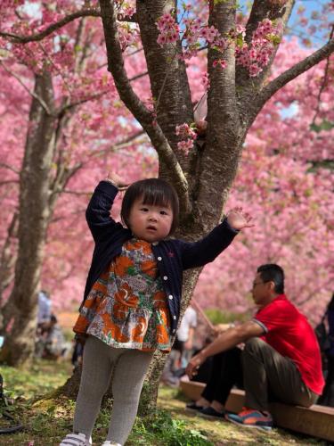 La La Shan 5.5KNong Zhuang in Zhangjiang, Republic of China Taiwan
