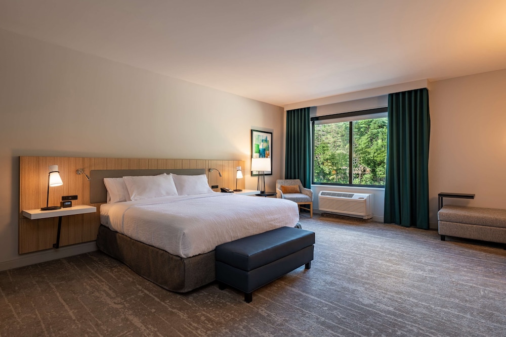 Hilton Garden Inn Boston Canton - photo 12