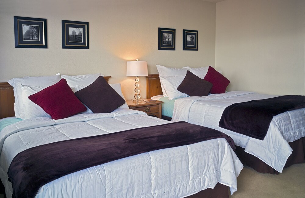 Rogue Valley Inn - photo 6