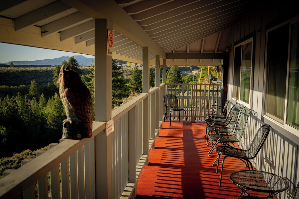 Yosemite Gateway Motel - photo 32