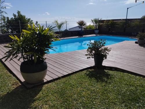 L’arbre du voyageur in Saint-Leu, Réunion