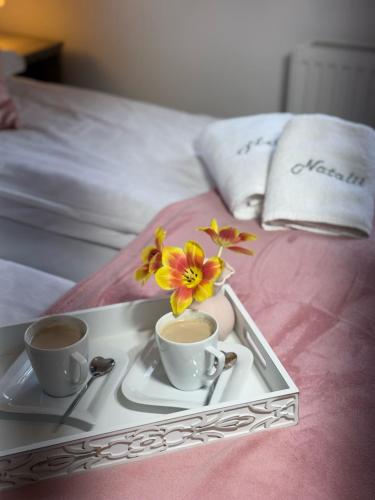 Natalii in Kudowa-Zdroj, Poland