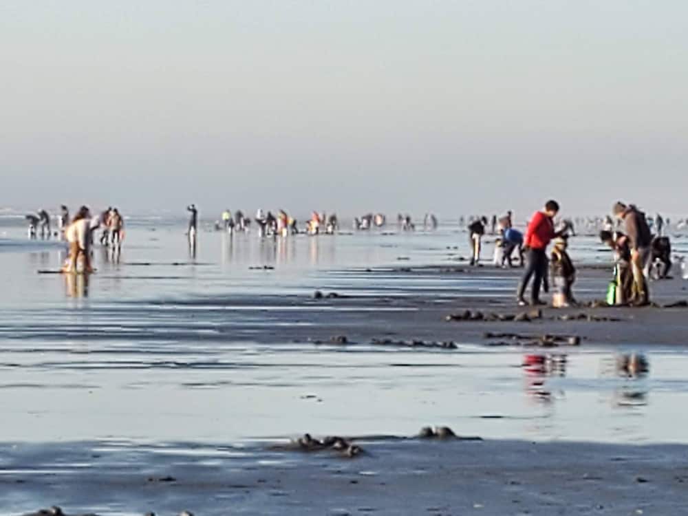 Mariner's Cove Inn - photo 63