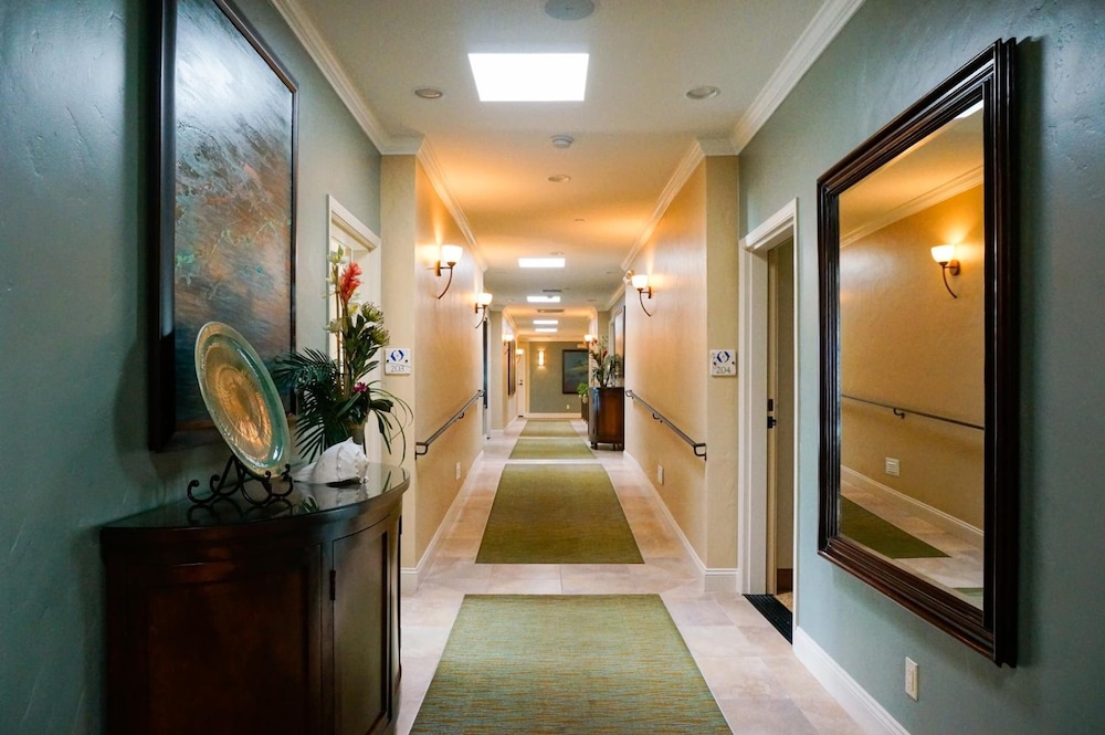 Blue Dolphin Inn - photo 51