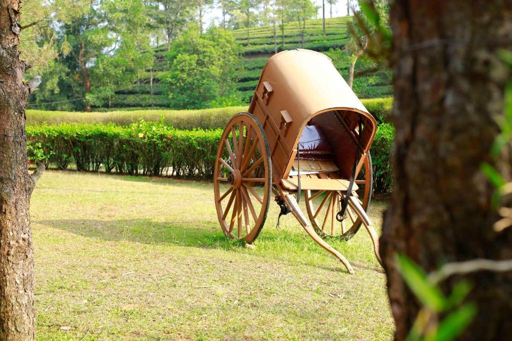 Saj Vagamon Hideout — Cochin — photo 5