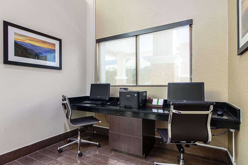 Comfort Suites Knoxville Airport - photo 32