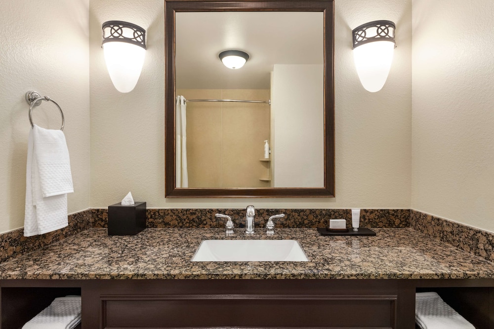 Embassy Suites by Hilton Orlando Lake Buena Vista South - photo 46