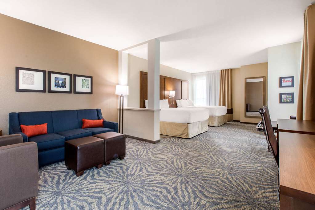 Comfort Suites South Austin - photo 17