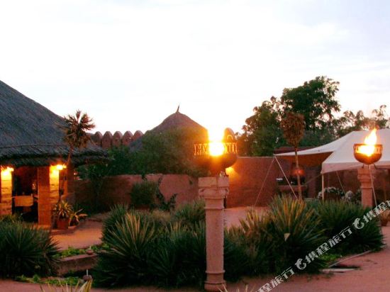 Reggie’s Camel Camps in Jodhpur, India