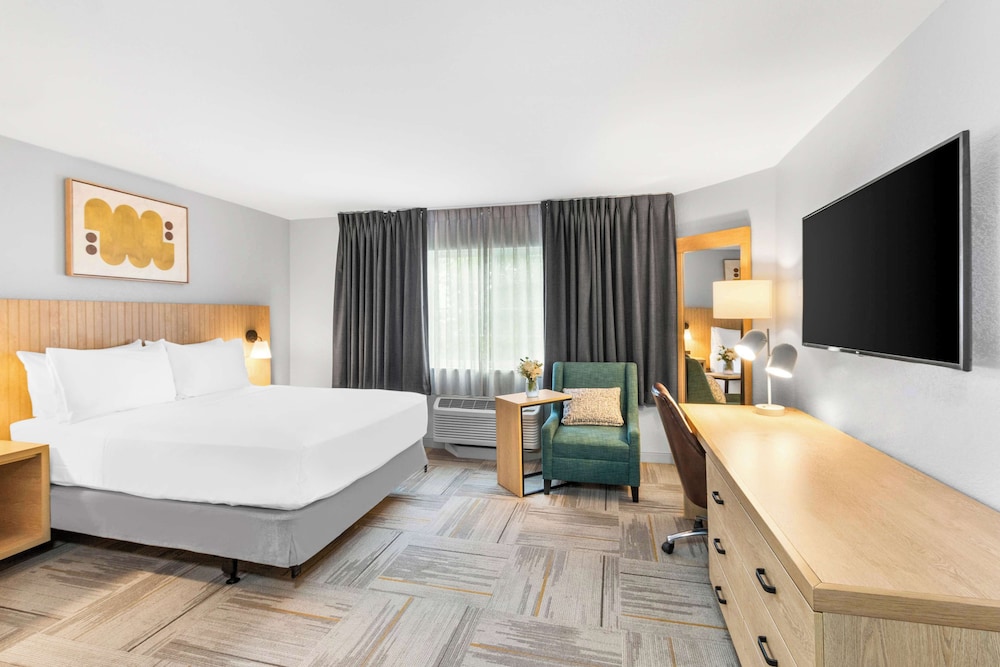 Sonesta Simply Suites Austin South - photo 12