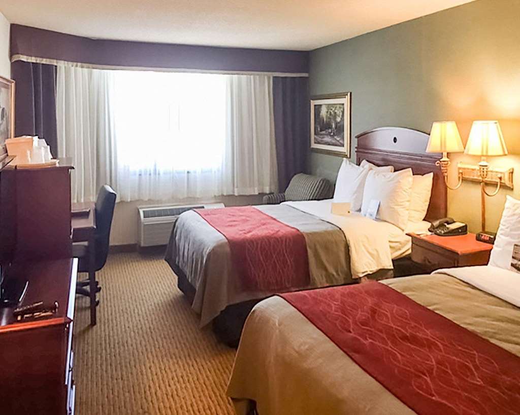 Comfort Inn Springfield - photo 7