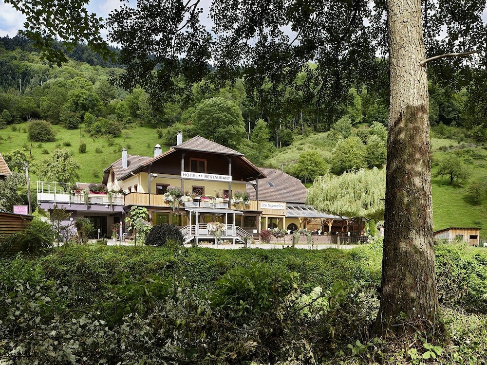 Hostellerie Les Bagenelles — hotel in Sainte-Marie-Aux-Mines