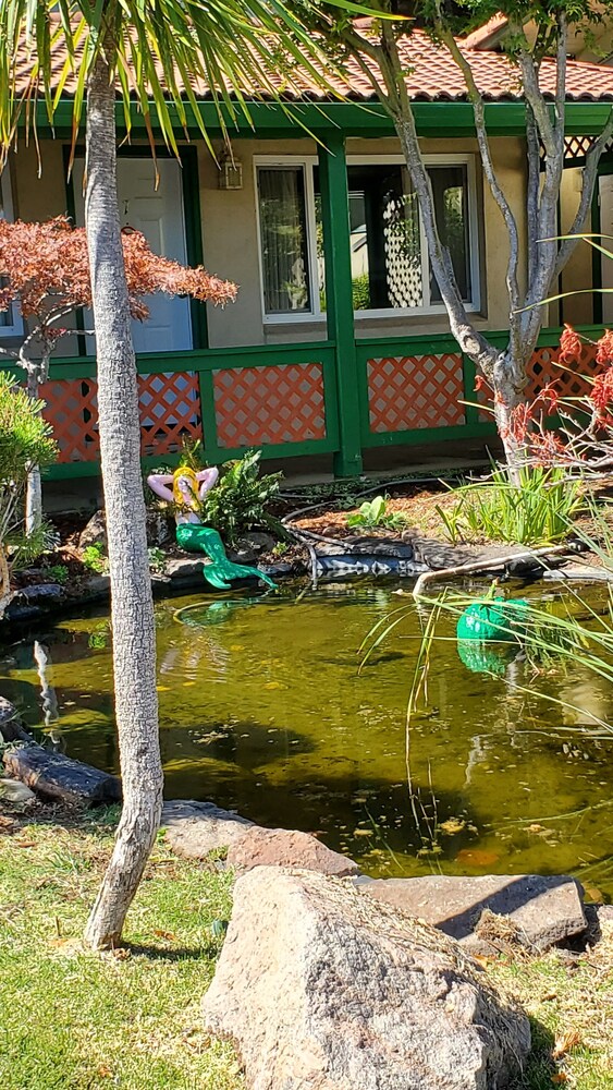 Clear Lake Vista Resort - photo 34