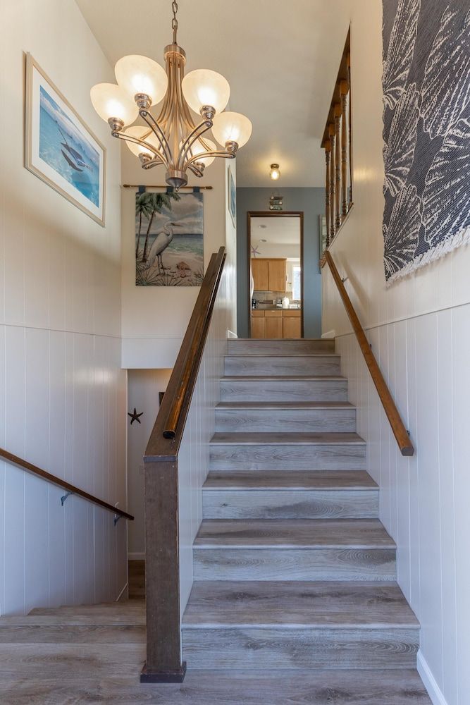 The Seaview - photo 22
