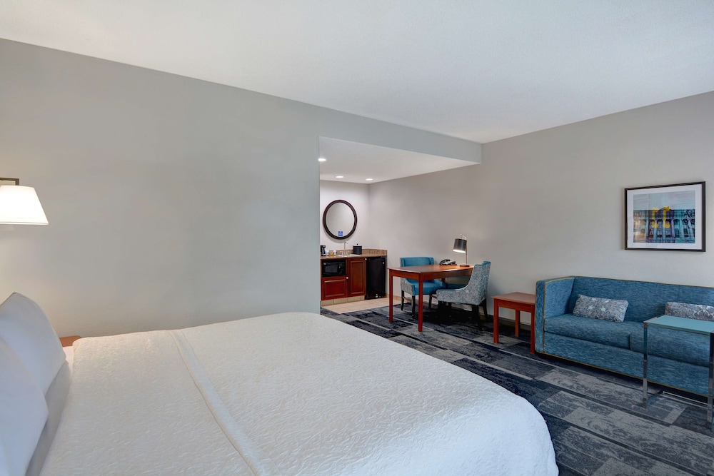 Hampton Suites Birmingham Hoover - photo 28