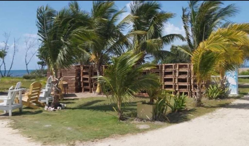 The Novelo - last minute hotel in Unknown City