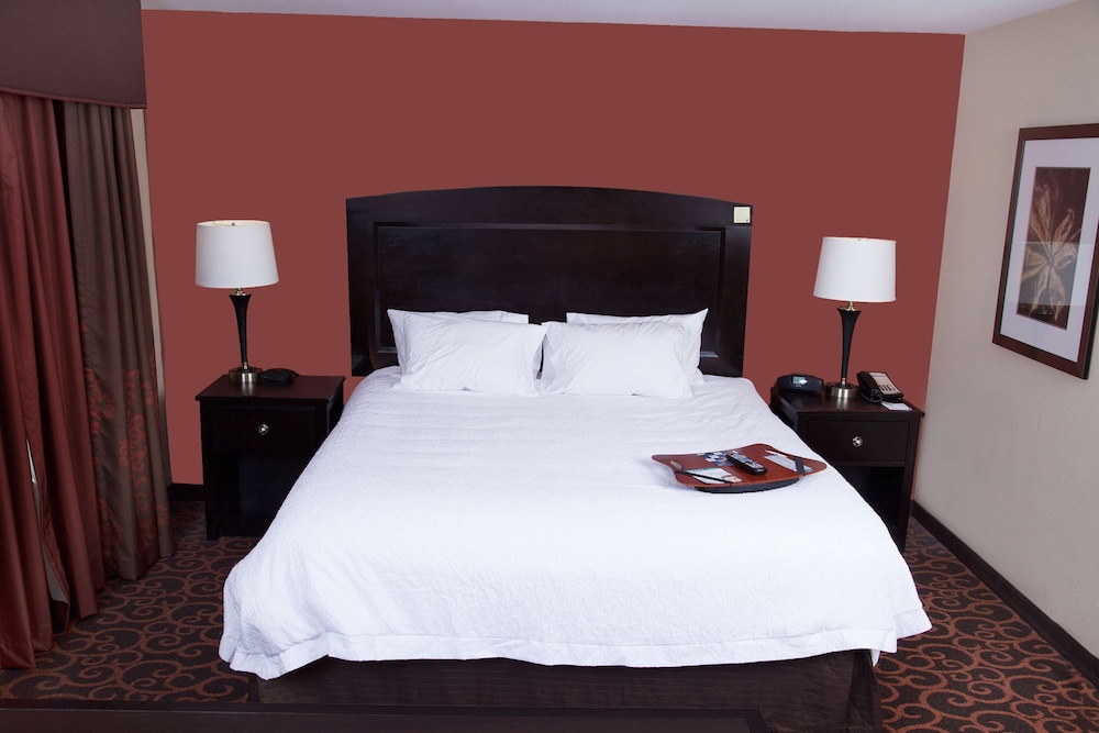Hampton Inn & Suites Dickinson - photo 10