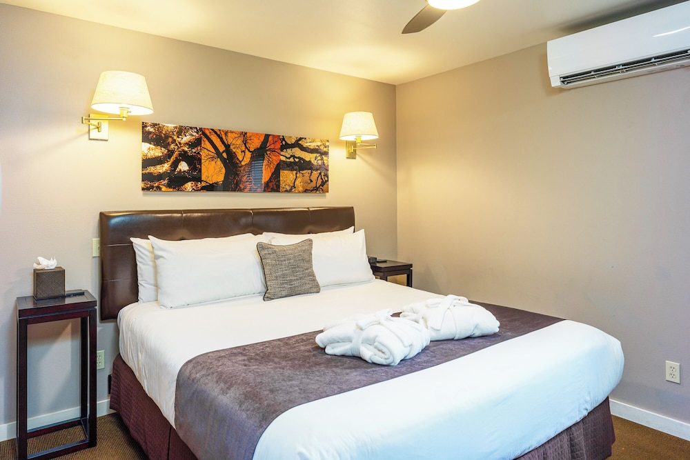 Bird Rock Hotel - photo 16