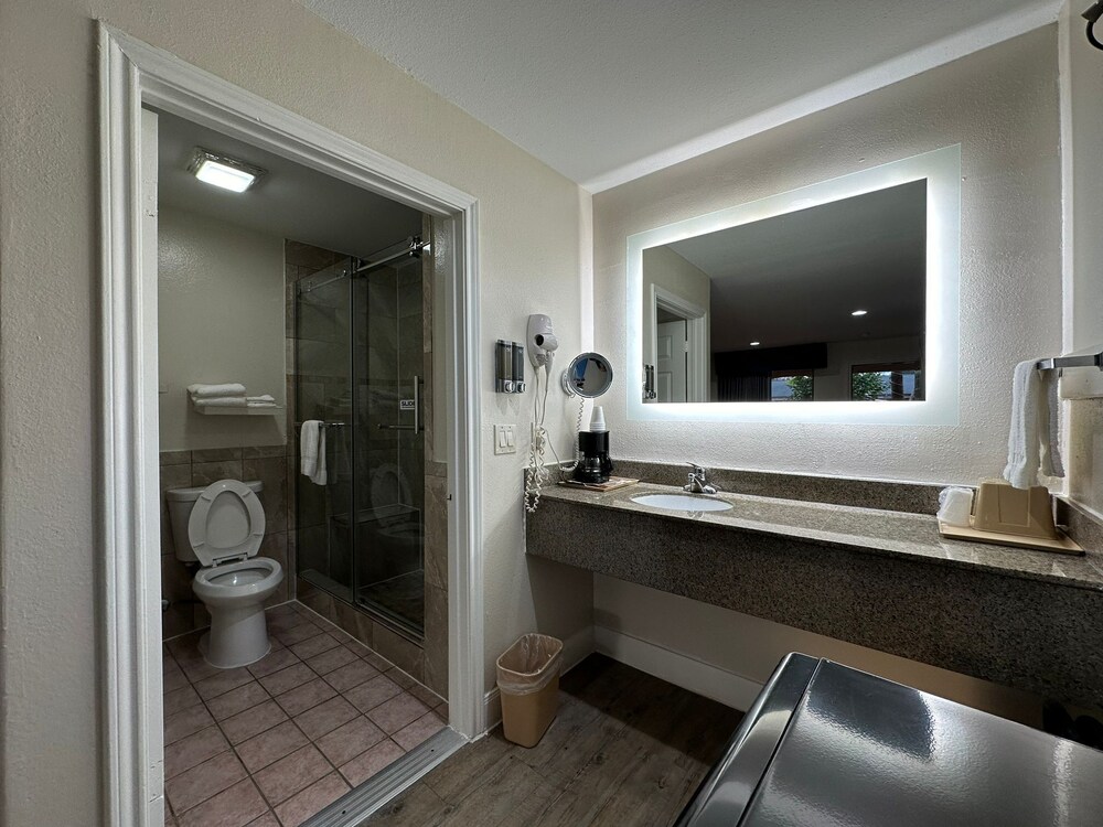 Palace Inn I 45 & Bellfort - photo 9