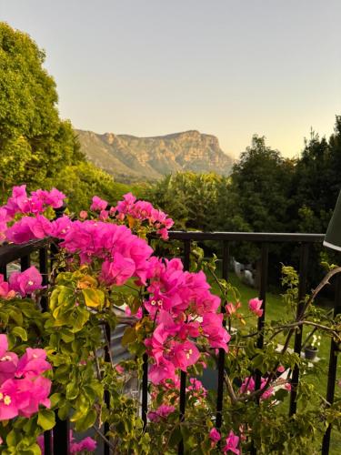 GRACE COTTAGE Charming 2 Bed en suite Cottage with Solar — 4-Star Luxury Hotel in Cape Town, South Africa