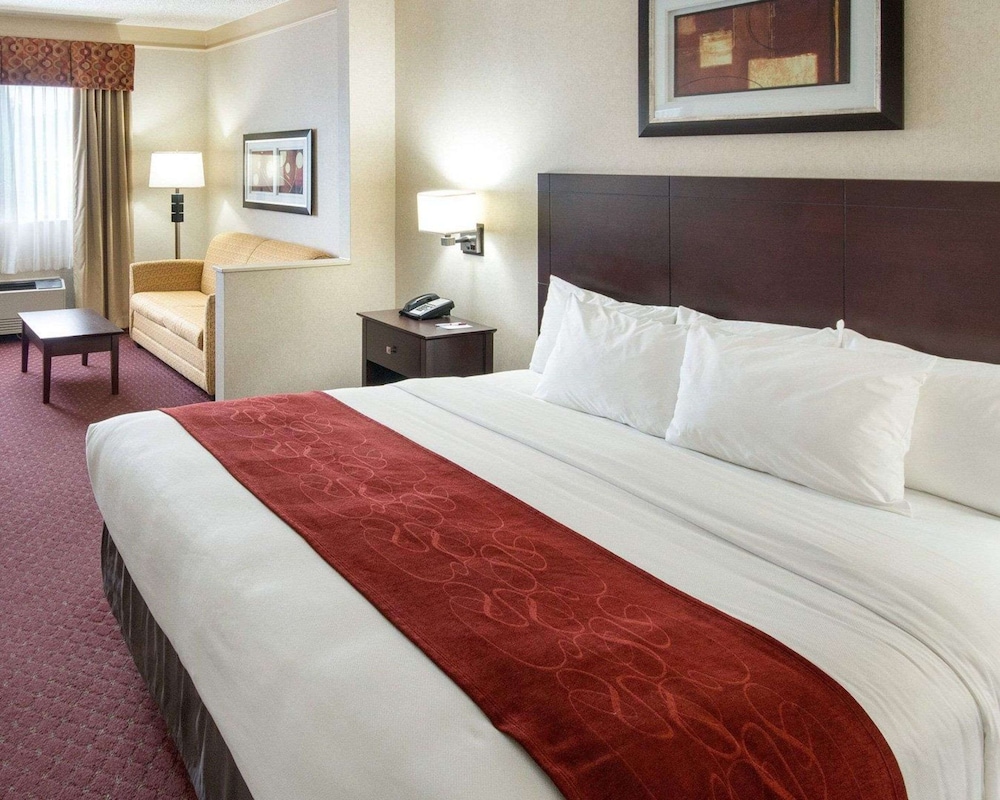 Comfort Suites Parkersburg South - photo 29