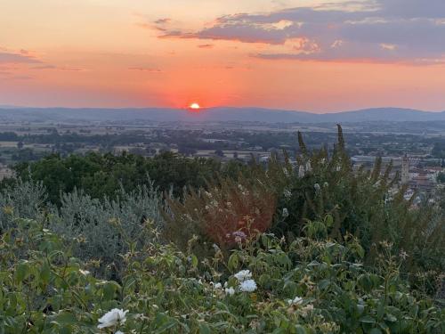 Amazing Assisi — Assisi — photo 4