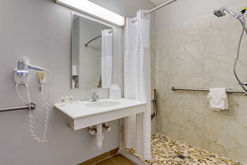 Comfort Suites La Porte Baytown - photo 18