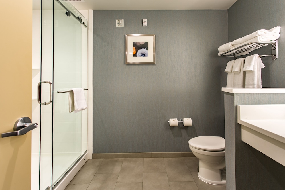 Holiday Inn Hotel & Suites Chattanooga Downtown by IHG - photo 24