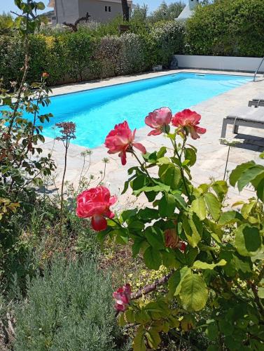 Anemelia & Helios Studio - carbon neutral hotel in Anavyssos