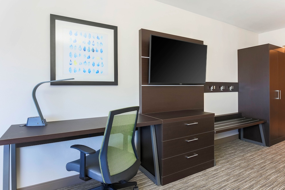 Holiday Inn Express & Suites Chicago O'Hare Airport by IHG - photo 16