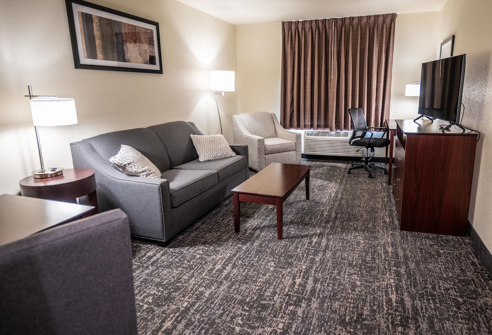 Cobblestone Hotel & Suites Lamar - photo 22